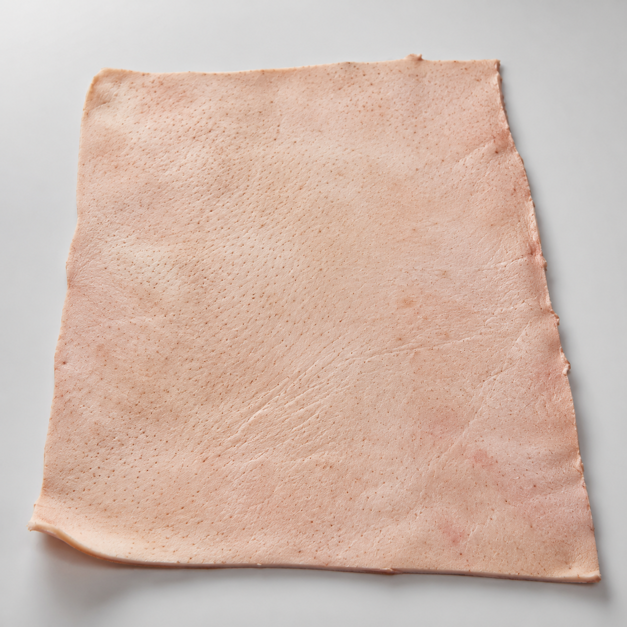 One 9 by 12 inch pig skin tattoo practice sheet
